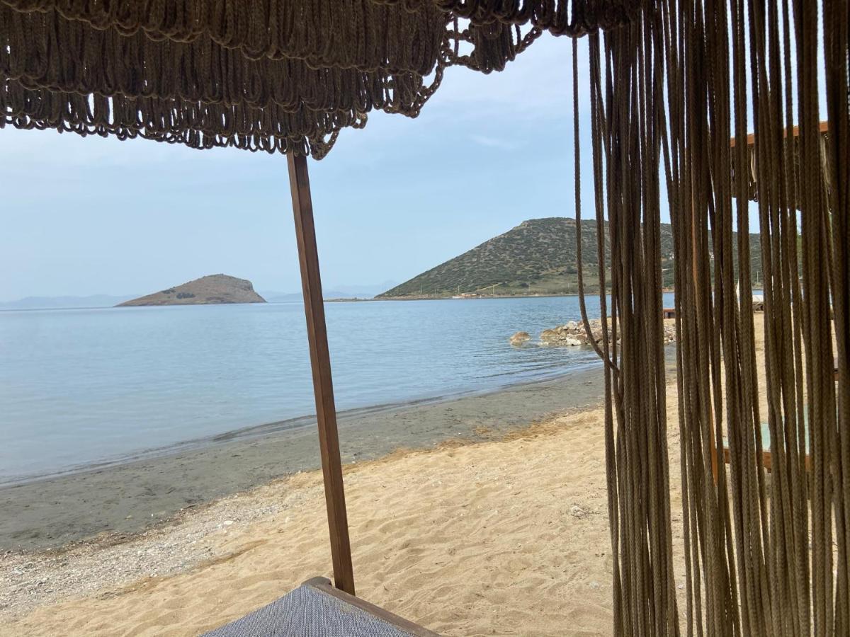 Architect'S Summer House By The Beach Porto Rafti Bagian luar foto