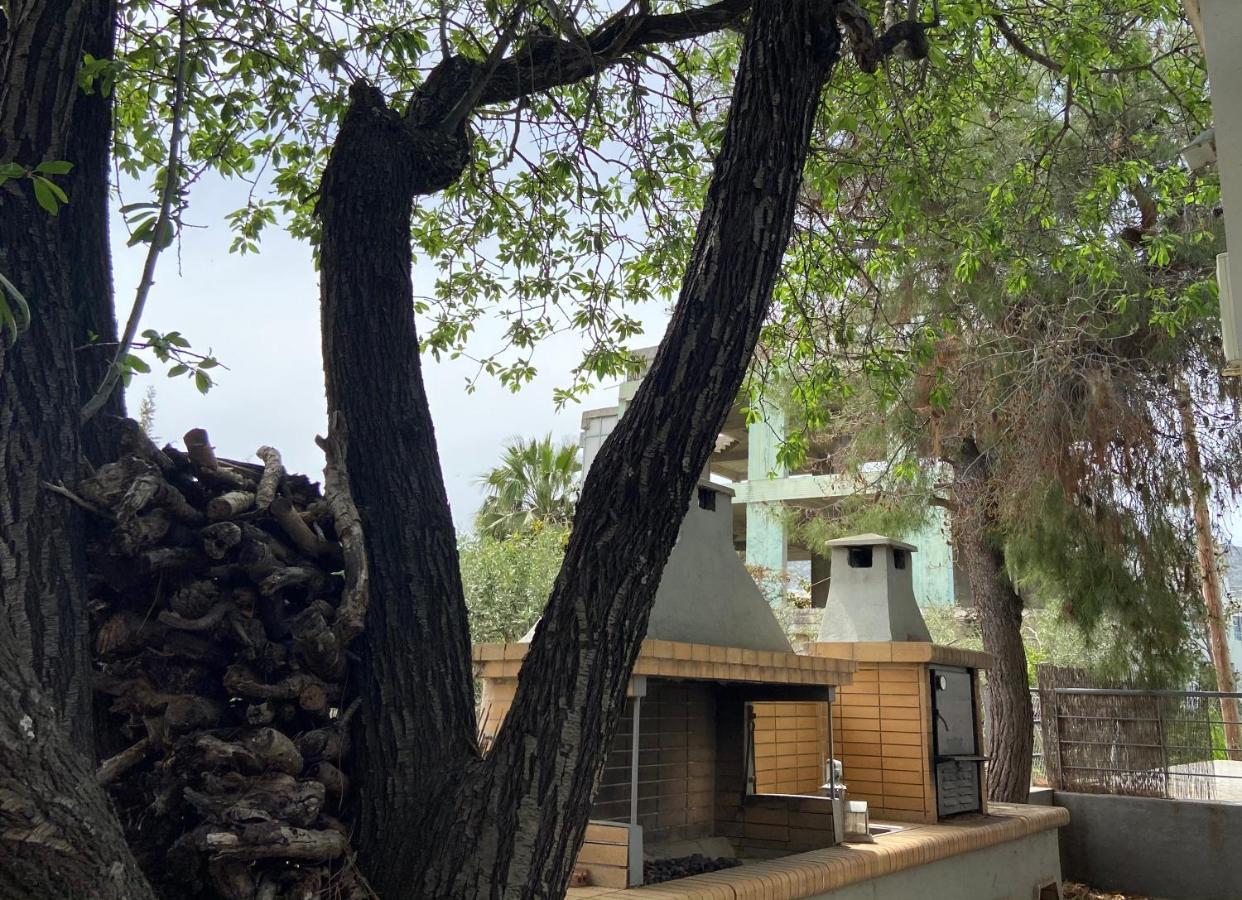 Architect'S Summer House By The Beach Porto Rafti Bagian luar foto